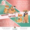 Aceite puro de cáñamo y salmón para perros y gatos, remedio Omega para el cuidado de la piel para la caspa, desprendimiento,