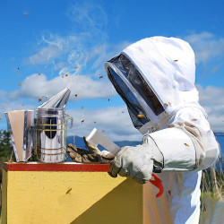 Kit de inicio de 31 piezas de suministros de apicultura con traje.