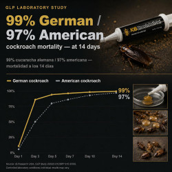 Gel Mata Cucarachas ROACH BAIT