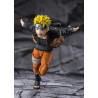 FIGURA DE ACCION NARUTO TAMASHII NATIONS