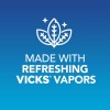 Vicks VapoInhalador, inhalador nasal portátil para llevar, no medicado, con refrescantes vapores, aroma a mentol, 2 barras