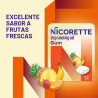 Nicorette Nicotine Gum 4mg - 100 PCS - FRUTAS