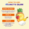 Nicorette Nicotine Gum 4mg - 100 PCS - FRUTAS