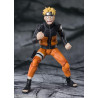 TAMASHII NATIONS - Naruto Shippuden - Naruto Uzumaki