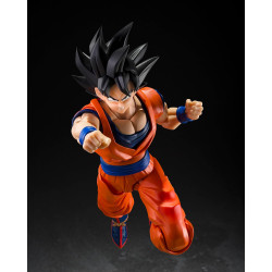 TAMASHII NATIONS - Dragon Ball Z - Son Goku