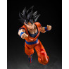 TAMASHII NATIONS - Dragon Ball Z - Son Goku
