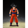 TAMASHII NATIONS - Dragon Ball Z - Son Goku