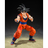 TAMASHII NATIONS - Dragon Ball Z - Son Goku