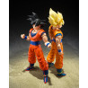 TAMASHII NATIONS - Dragon Ball Z - Son Goku
