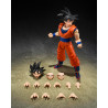TAMASHII NATIONS - Dragon Ball Z - Son Goku