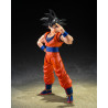 TAMASHII NATIONS - Dragon Ball Z - Son Goku