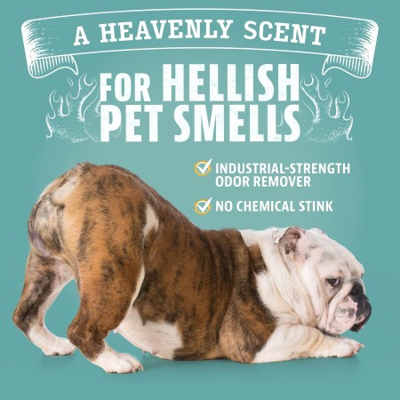 ANGRY ORANGE Eliminador de olores de mascotas para fuertes – Desodorizante cítrico para perros o gatos que huele a orina en