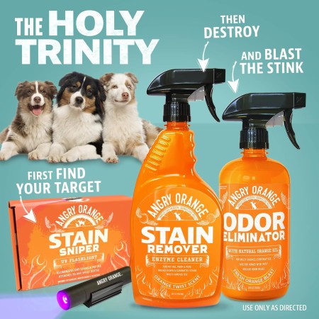 ANGRY ORANGE Eliminador de olores de mascotas para fuertes – Desodorizante cítrico para perros o gatos que huele a orina en