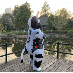 DISFRAZ inflable de vaca - Arokibui
