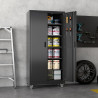 GABINETE DE ALMACENAMIENTO DE METAL - Reemoon