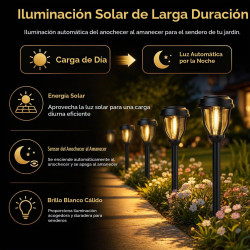 DERAYSION Paquete de 12 luces solares