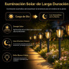 DERAYSION Paquete de 12 luces solares