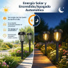DERAYSION Paquete de 12 luces solares