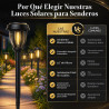 DERAYSION Paquete de 12 luces solares