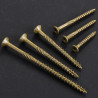 TORNILLOS DE CUBIERTA DE 10 X 3 PULGADAS - Wensilon