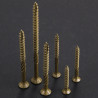 TORNILLOS DE CUBIERTA DE 10 X 3 PULGADAS - Wensilon