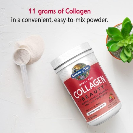 Garden of Life - Grass Fed Collagen Beauty - Polvo de colágeno para mujeres y hombres, sabor granada y arándano, 20 porciones,