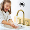 Grifo de baño de 3 agujeros, grifos de oro cepillado con drenaje y líneas