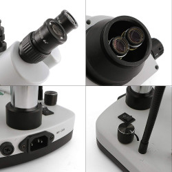 Swift Microscopio estéreo trinocular S7-TGL-CA05