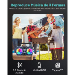 PRUNUS 750 Radio AM FM Portátil con Bluetooth Altavoz Doble