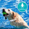 Bousnic Collar de choque para perros – Collar de entrenamiento eléctrico impermeable recargable con control remoto para perros