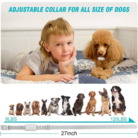 Bousnic Collar de choque para perros – Collar de entrenamiento eléctrico impermeable recargable con control remoto para perros