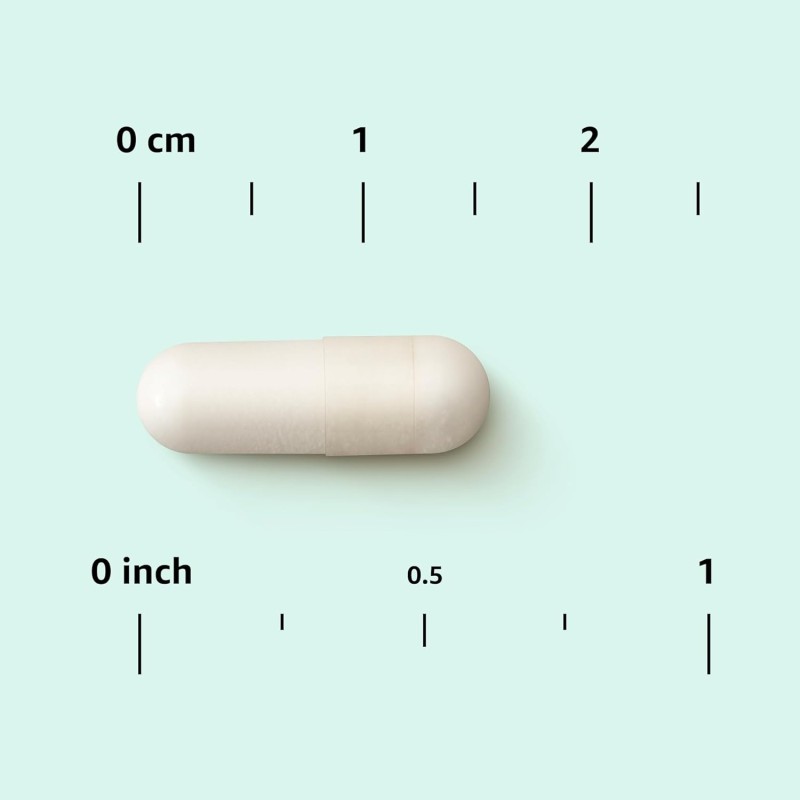 Luces de Navidad Cardinal Lantern Path - Set de 10