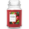 Yankee Candle Macintosh, Vela perfumada de otoño