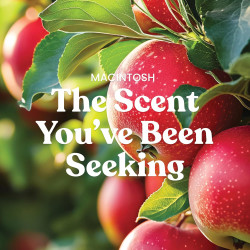 Yankee Candle Macintosh, Vela perfumada de otoño