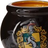 Silver Buffalo HP11833D Harry Potter Hogwarts - Taza de cerámica, diseño 3D esculpido con brillos y la imagen de un escudo de