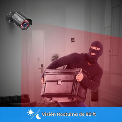 ZOSI - Cámara de seguridad híbrida