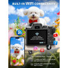 Cámara digital 8K, cámaras WiFi de 88MP para fotografía con pantalla táctil
