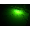 Paquete de luz para atraer peces | Luces verdes de muelle para atraer peces