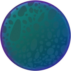 PopSockets - Agarre para teléfono | Agarre adhesivo para telefonoscon soporte expandible