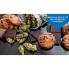 DrugExam - Kit de prueba de drogas de un solo panel con THC de marihuana altamente sensible de 20 ng/ml, prueba de drogas de