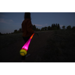 Foxtail Juego de luces LED | Juego LED  de lanzar y atrapar en el aire