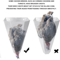 Cono de pollo de tamaño mediano de acero galvanizado para aves de corral