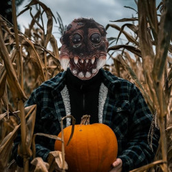 Máscara realista de araña | Mascara detalladas para halloween de araña