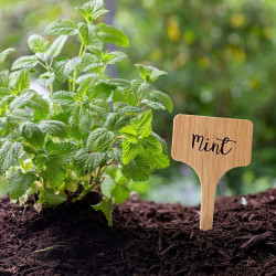 VITEVER 100 etiquetas para plantas | Rotuladas e impermeables