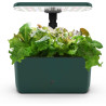 AeroGarden Harvest Lite, sistema hidropónico de jardín | Para interiores con luz LED de crecimiento