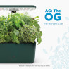 AeroGarden Harvest Lite, sistema hidropónico de jardín | Para interiores con luz LED de crecimiento