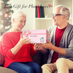 HUABEI - Terrario | Liviano y giratorio para plantas