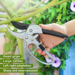 Dispensador de enjuague bucal | Bandeja de madera facil de limpiar