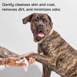 Bernie's OMG! Omegas masticables para perros | Masticables de Omega 3 para perros sabor salmon