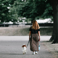 Botella de agua para perros con contenedor de alimentos | Botella para agua y alimento para perros en caso de viajes